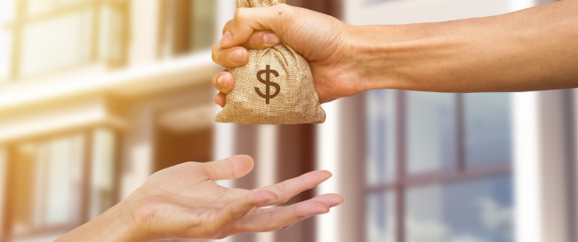 Câmara de Vereadores custeia mais de R$ 3,5 milhões em proventos para inativos que não recolheram contribuição previdenciária