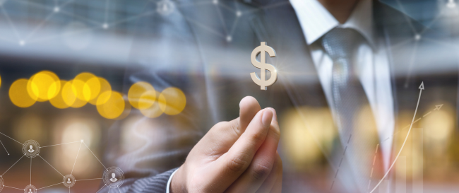 “A ineficiência alocativa decorre do excesso de recursos financeiros”, diz Procuradora em parecer sobre contas de Câmara de Vereadores