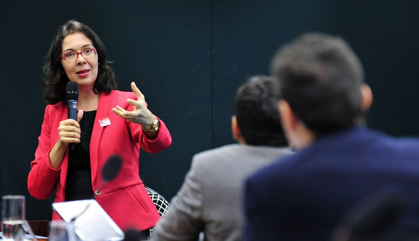 dra elida camara Gabriela Korossy Audiência pública sobre o impacto do aumento de gasto com pessoal na área de saúde