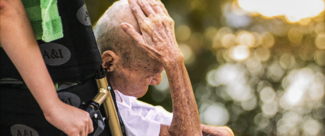 Cópia de banner site MPC (1)